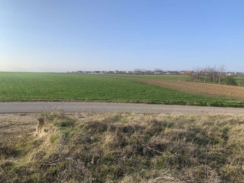 Baugrund Nickelsdorf - Bild 1
