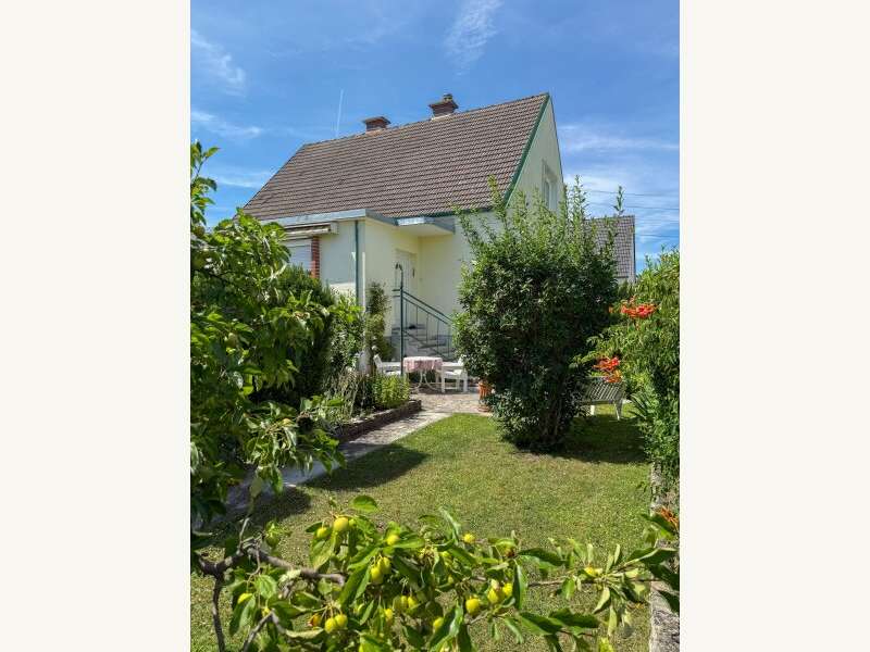 Eingangbereich mit Garten - Einfamilienhaus Bruck an der Leitha - Bild 1